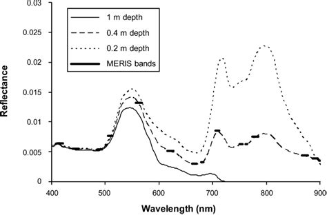 Modelled water reflectance spectra for vegetation under three different... | Download Scientific ...