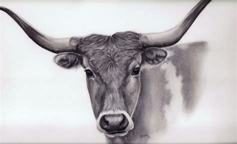 Portrait Drawing of a Longhorn. Hand Drawn Portraits From Your ...