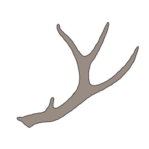 Reindeer Antlers Drawing