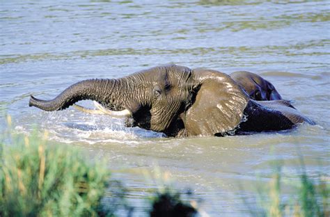 Waterberg Biosphere Reserve