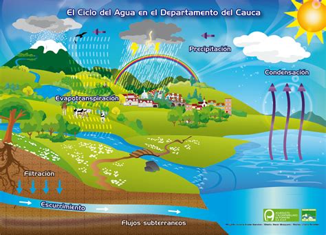 explicación gráfica acerca del ciclo del agua. | Ciclo del agua, Ciclo hidrologico, Agua