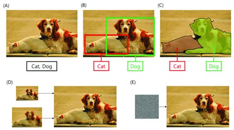 A list of computer vision algorithms. (A) Image classification. (B ...