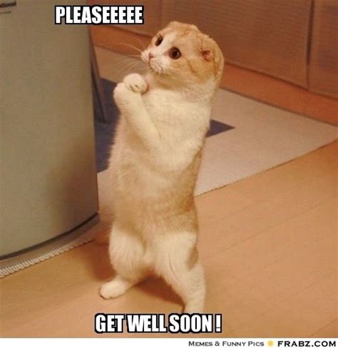 20 Funny Get Well Soon Memes To Cheer Up Your Dear One | SayingImages.com Crazy Cat Lady, Crazy ...