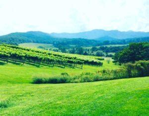 19 Best Wineries in Northern Virginia - Virginia Vacation Guide