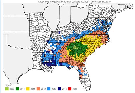 Center for Invasive Species and Ecosystem Health: Kudzu Bugs; Urban and ...