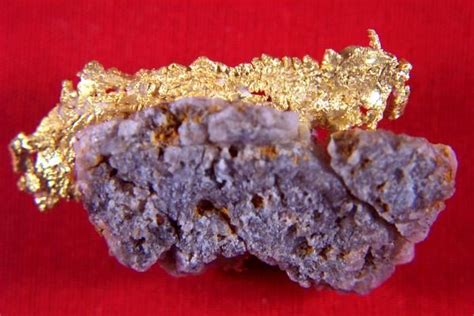 Gold Vein in Quartz Specimen - Museum Grade 15.2 gram | Gold specimens, Natural gold, Quartz