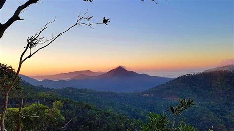 Guided Mount Archer walks, nature sessions prove popular | The Courier Mail