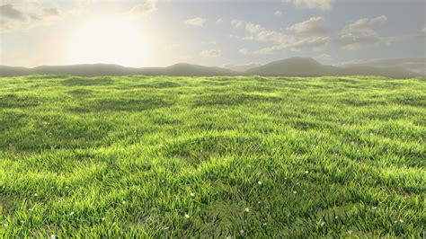 Grass Field wallpaper | 1280x720 | #30462