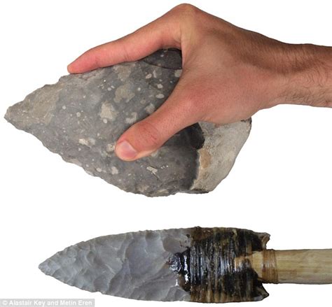 Stone tools reveal early humans evolved strong grip similar to modern ...