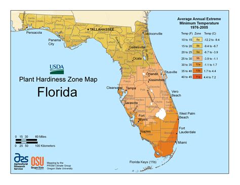 When to Plant in Okeechobee, FL