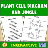 Plant Cell Practice Diagram Teaching Resources | TpT