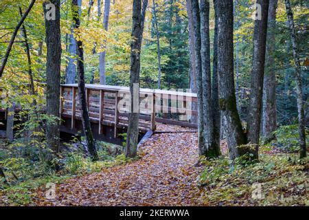 The hiking trails into the Saint Peters Dome recreational area in the ...