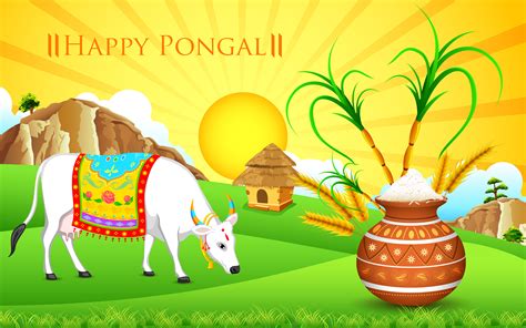 Happy Pongal 2024 Images, HD Wallpapers & Photos Free Download