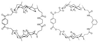 Synthesis of cholic acid-based molecular receptors: head-to-head ...