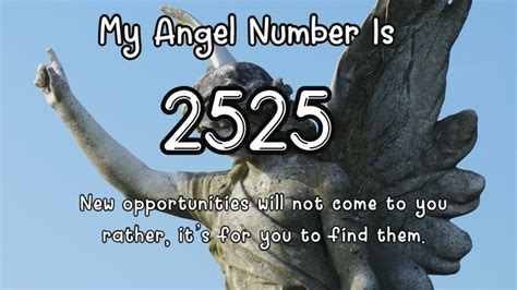 Discover what Angel Number 224 means for your Future....