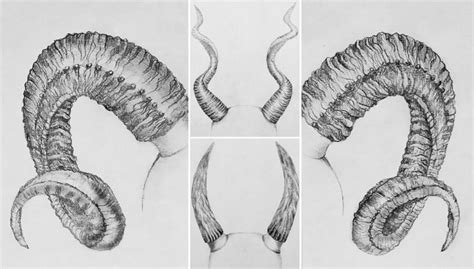 How to draw horns easy | WoWPencils | Demon drawings, Horns, Drawings