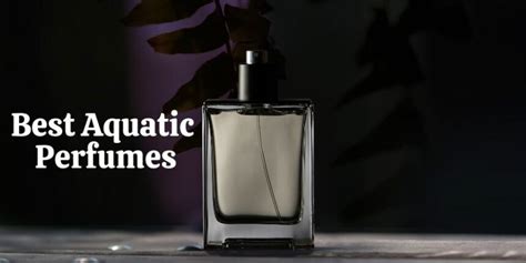 Best Aquatic Perfumes - GiftExo