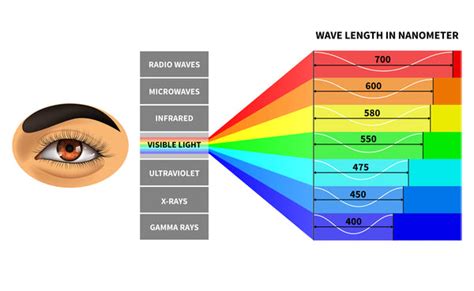 Effective Red Light Wavelengths & Uses (Backed by Scientific Studies) – RLT Home