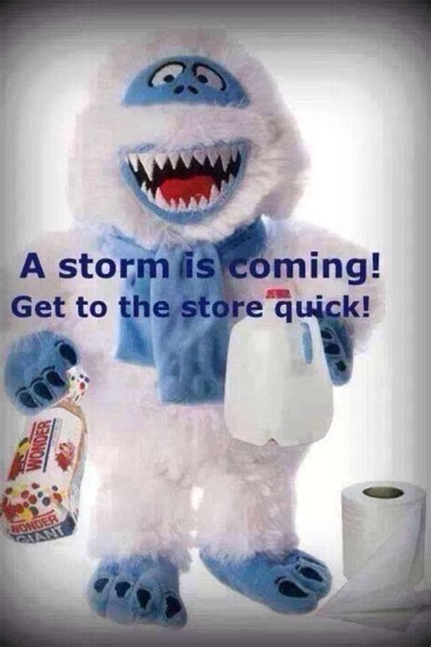 Pin by Pam Pawlik-Gagin on MICHIGAN ! | Snow quotes funny, Funny images laughter, Storm quotes