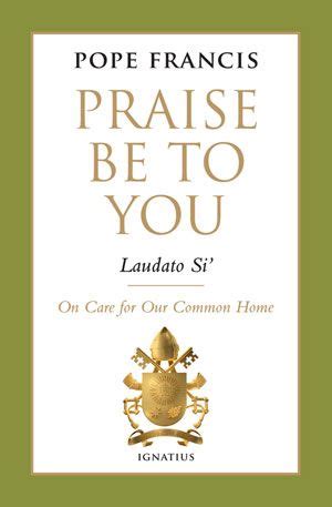 AN EVANGELICAL’S GUIDE TO ‘LAUDATO SI’, POPE FRANCIS’S ENCYCLICAL ON THE ENVIRONMENT | Joe ...