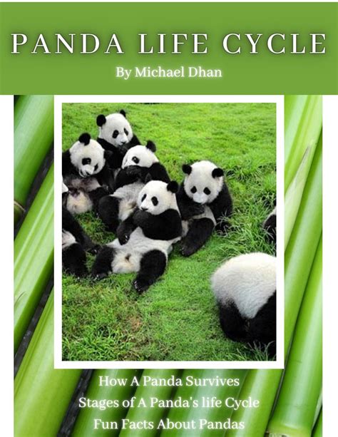 Panda Life Cycle by Michael D. by shapiron@nvnet.org - Issuu