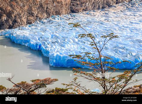 Torres Del Paine National Park, Chile. Grey glacier Stock Photo - Alamy