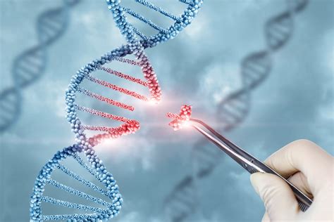 Why CRISPR Therapeutics Stock Fell 18.4% in October | The Motley Fool