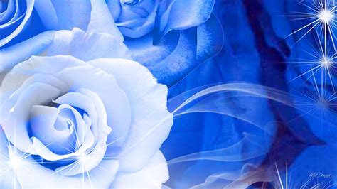 Blue Roses Wallpaper (58+ images)