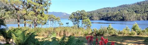 Tullah Lakeside Walk: 10 Reviews, Map - Tasmania, Australia | AllTrails