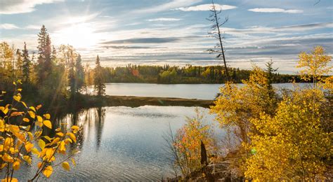 Boreal Forest | TNC Canada