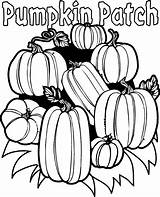 Coloring Page Of A Pumpkin sketch template