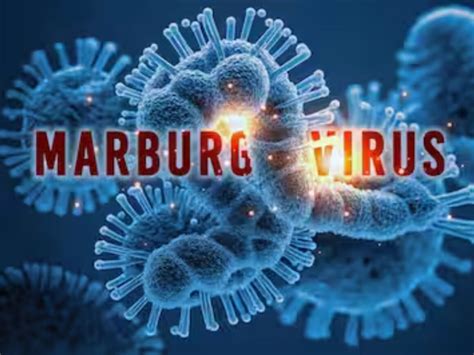 Deadly Marburg Virus Outbreak: WHO Issues Global Alert Amid Sudden ...