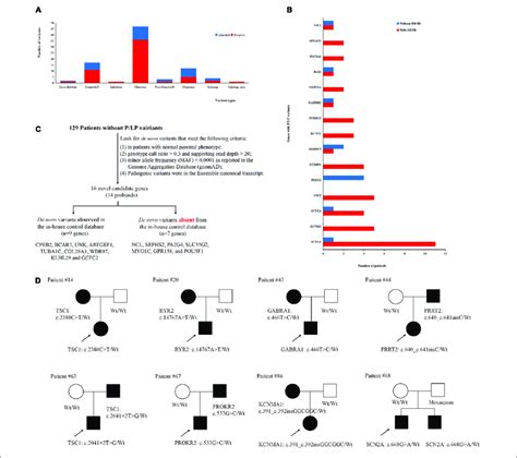 | Gene variants analysis. (A) The number of different variant types... | Download Scientific Diagram