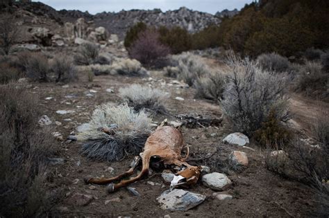 Severe drought has U.S. West fearing the worst -- Earth Changes -- Sott.net