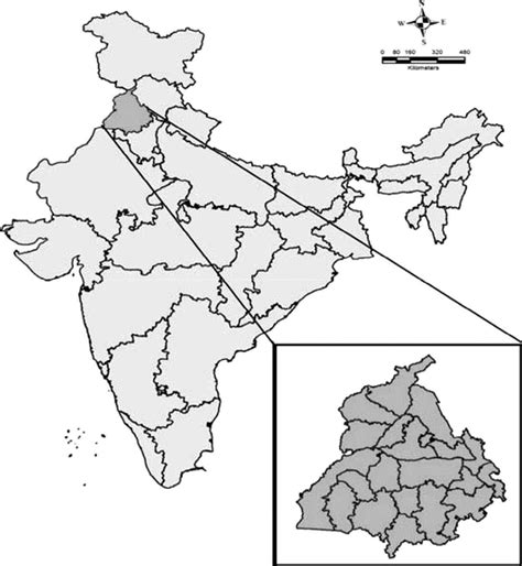 The performance and contributions of Punjab agriculture