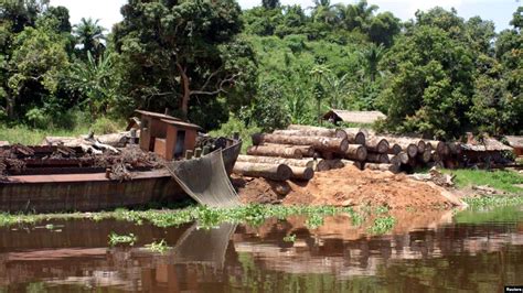 Researchers: Artificial Intelligence Can Help Fight Deforestation in Congo