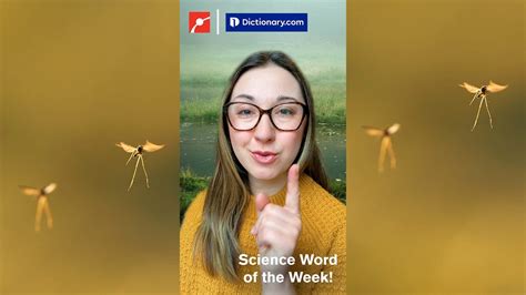 What’s Worse Than A Mosquito Bite?🦟 A Gallinipper Bite! | vocabulary ...