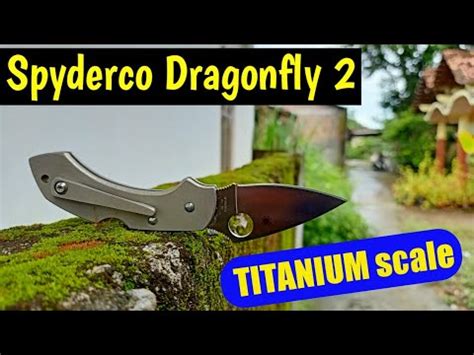 Spyderco Dragonfly 2, Titanium scale. The little big knife. - YouTube