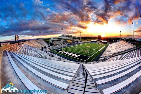 Montana: MSU | Montana state football, Montana state, Montana