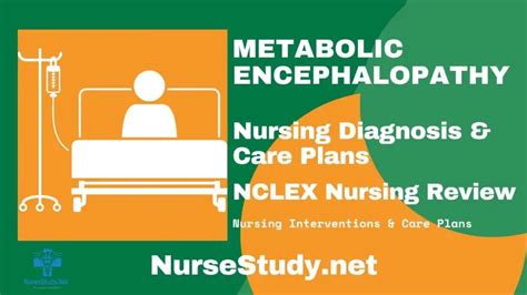 Metabolic Encephalopathy Nursing Diagnosis & Care Plan - NurseStudy.Net