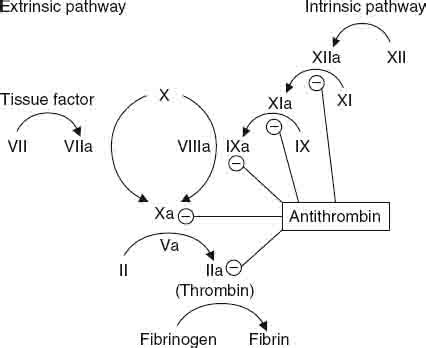 Hereditary and Acquired Antithrombin Deficiency | SpringerLink