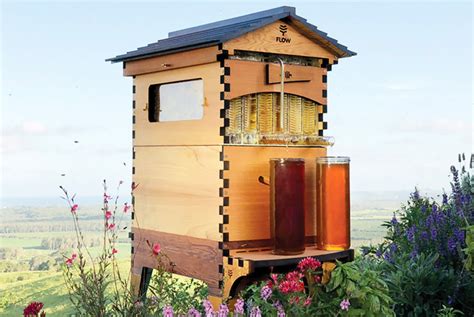 The new Flow Hive 2 snags a whopping $13.6 million on Indiegogo | Flow hive, Bee keeping ...