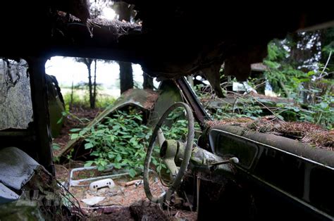 Forest Full of Abandoned Cars - ABC News