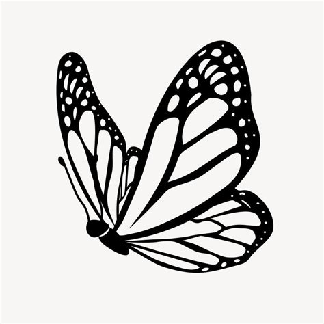 Butterfly Black Outline Images | Free Photos, PNG Stickers, Wallpapers & Backgrounds - rawpixel