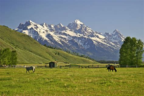 Jackson Land & Cattle Ranch on Sale for $175 Million — eXtravaganzi