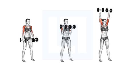 Dumbbell Curl to Press - Guide, Benefits, and Form