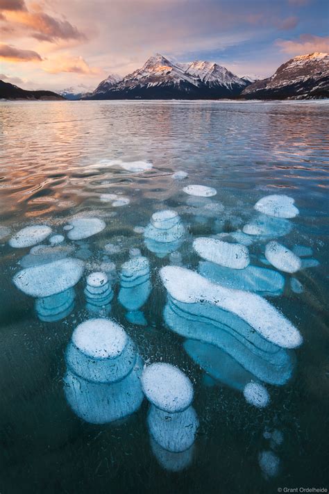 Abraham Lake Bubbles | Saskatchewan Plains, Alberta | Grant Ordelheide ...