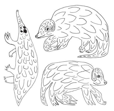 50+ Pangolin Scales Stock Illustrations, Royalty-Free Vector Graphics ...