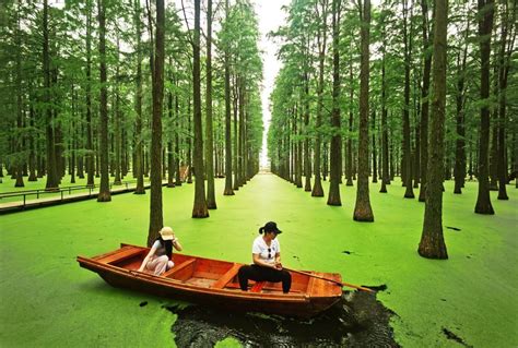 El lago Luyang, en Yangzhou, el lugar más extraño y fotogénico de China - Viajar