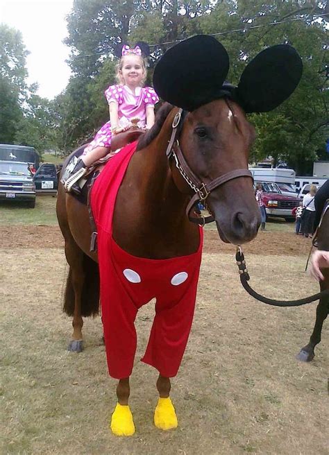 Minnie and Mickey Mouse horse costume. Dress your American Quarter ...